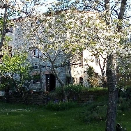 La Fonte B&B Pietralunga  Kültér fotó