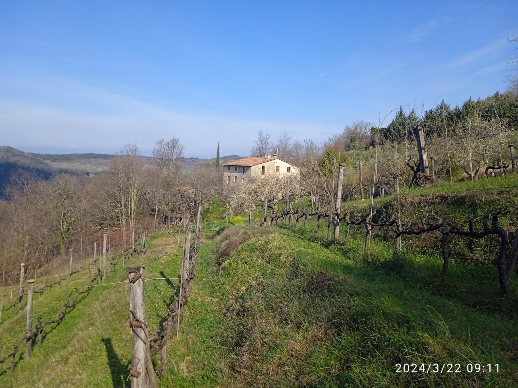 La Fonte B&B Pietralunga  Kültér fotó