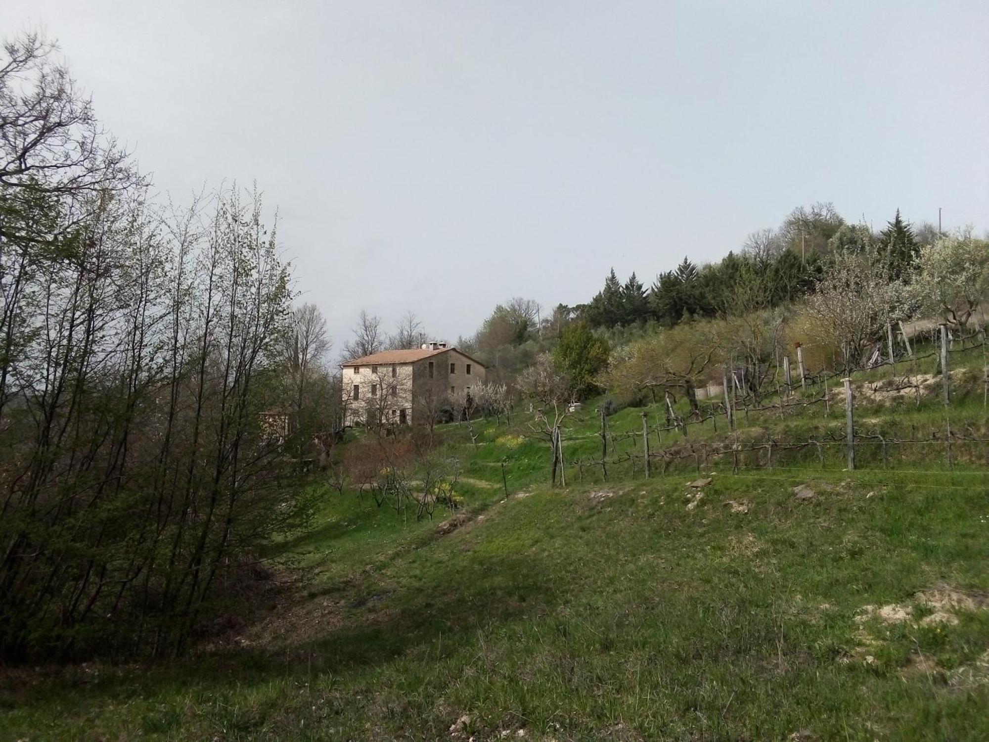 La Fonte B&B Pietralunga  Kültér fotó