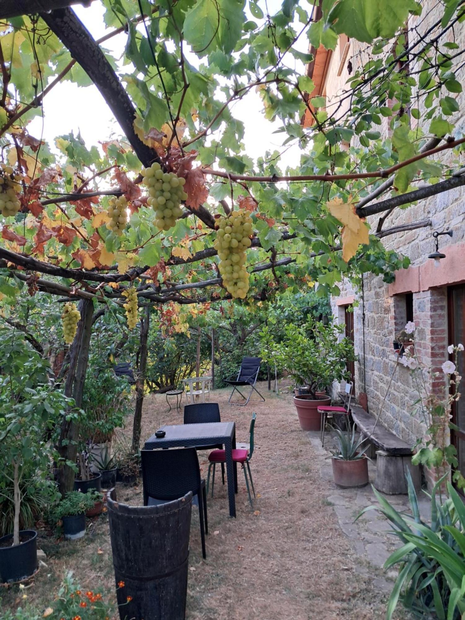 La Fonte B&B Pietralunga  Kültér fotó