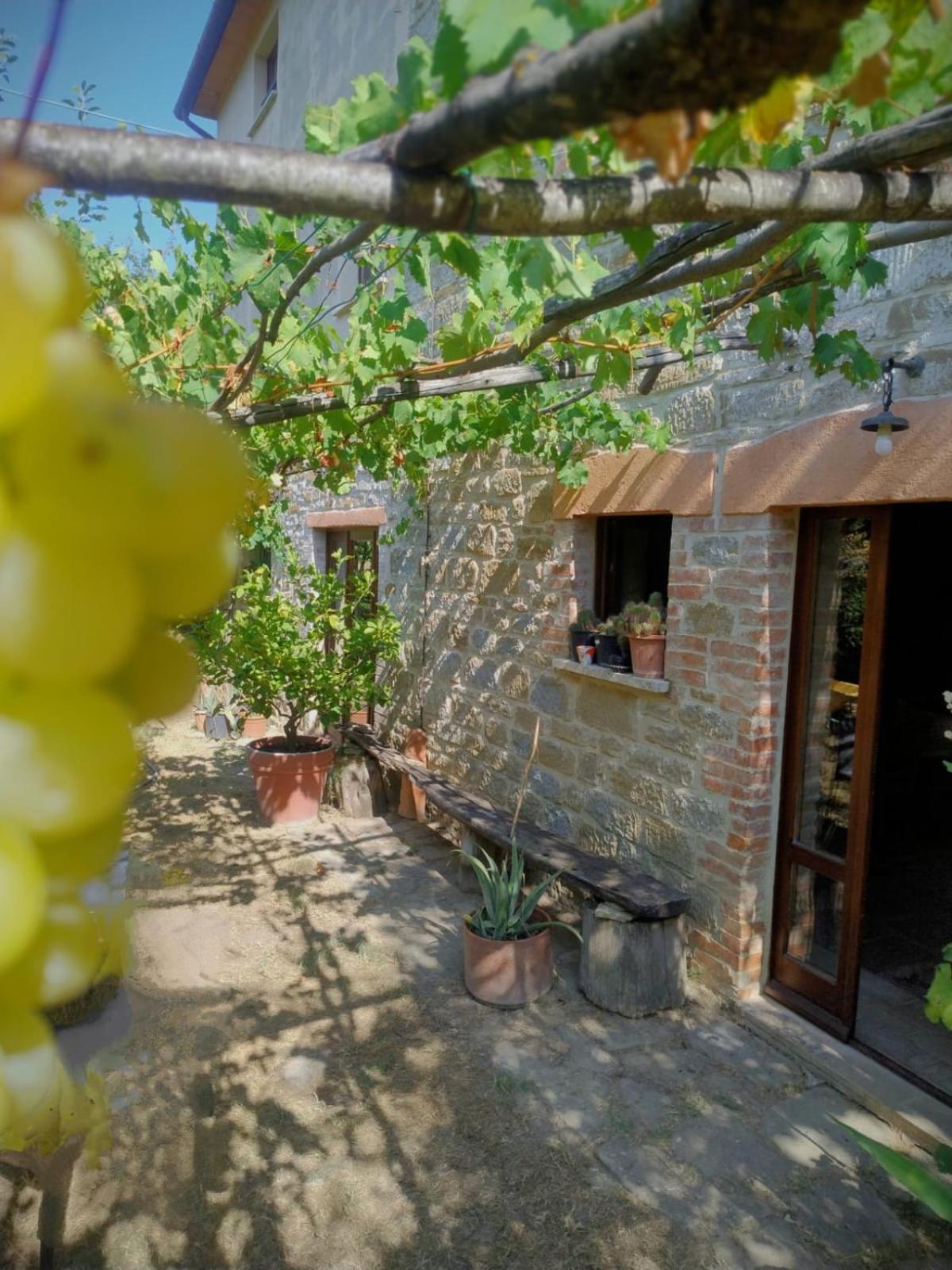 La Fonte B&B Pietralunga  Kültér fotó