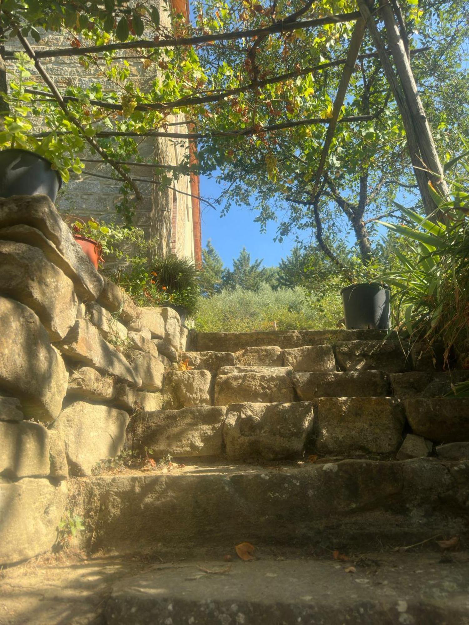La Fonte B&B Pietralunga  Kültér fotó